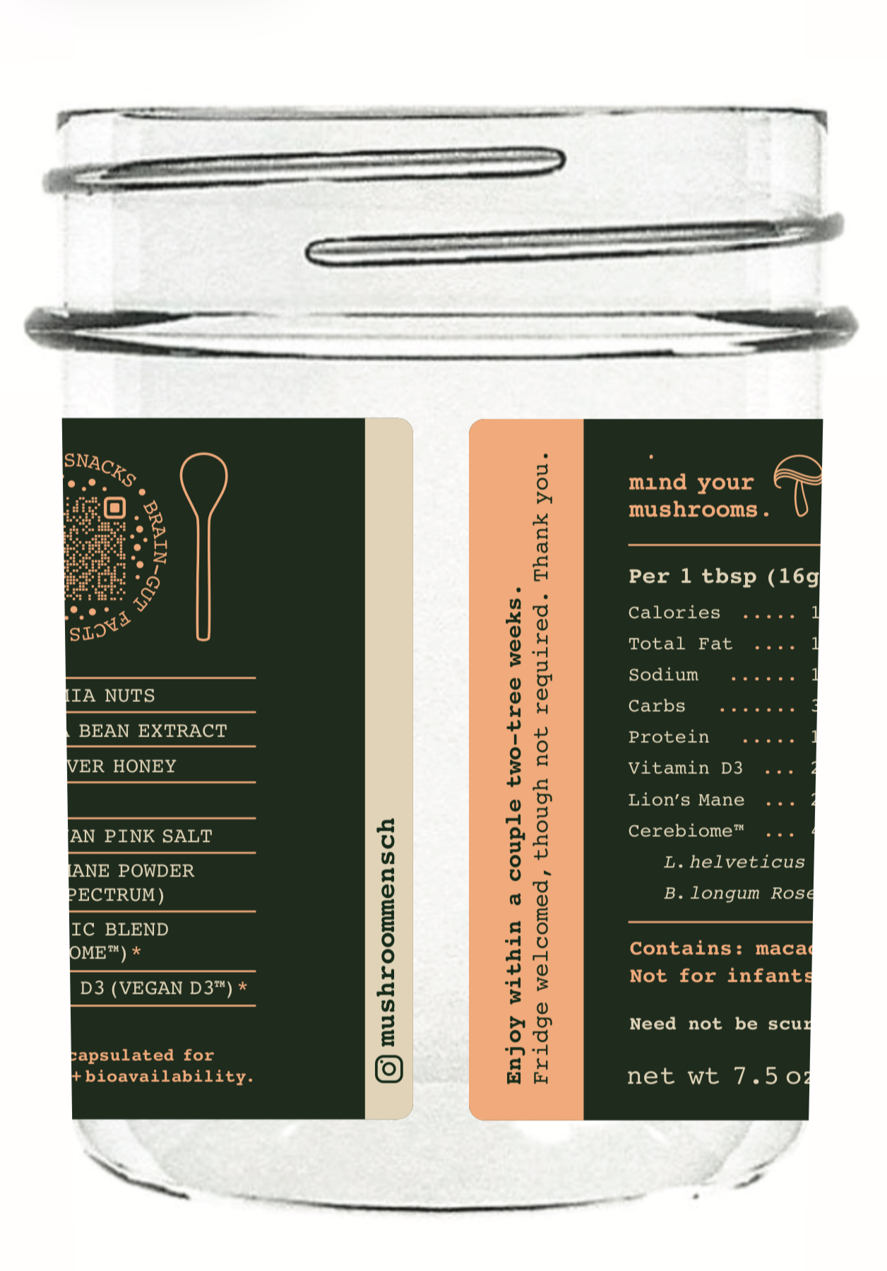 Mensch 001: Gut-Brain Jar